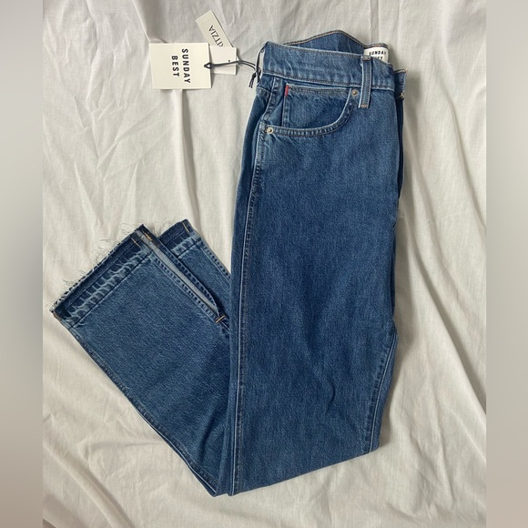 Aritzia SUNDAY BEST Easton 90s Medium Blue Jean - Picture 8 of 15